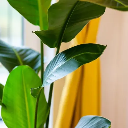 Sunny Grochowska Praga By Renters * Βαρσοβία